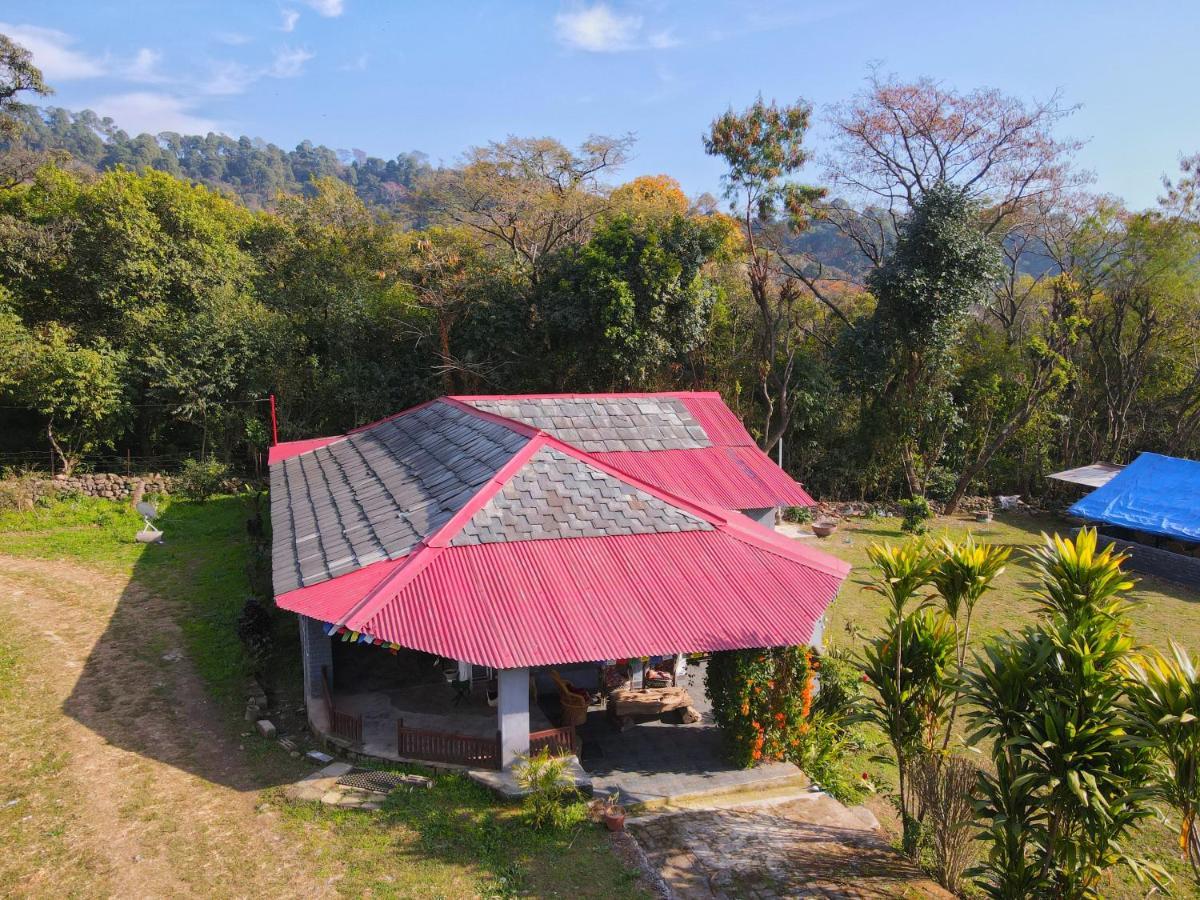 Dreamwoods A Travellers Farm Hostel Dharamshala Ngoại thất bức ảnh