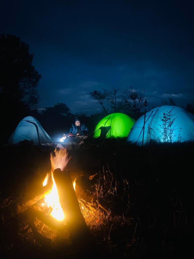 Dreamwoods A Travellers Farm Hostel Dharamshala Ngoại thất bức ảnh