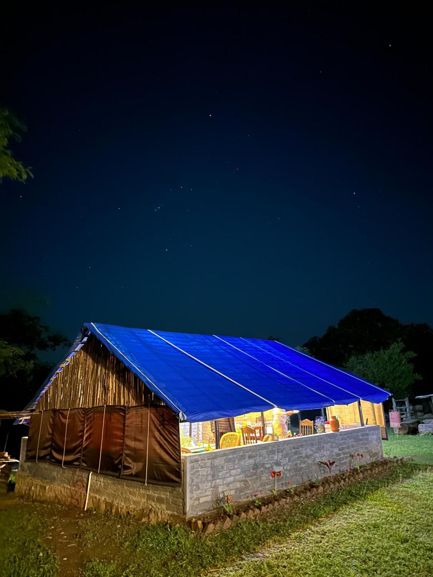 Dreamwoods A Travellers Farm Hostel Dharamshala Ngoại thất bức ảnh