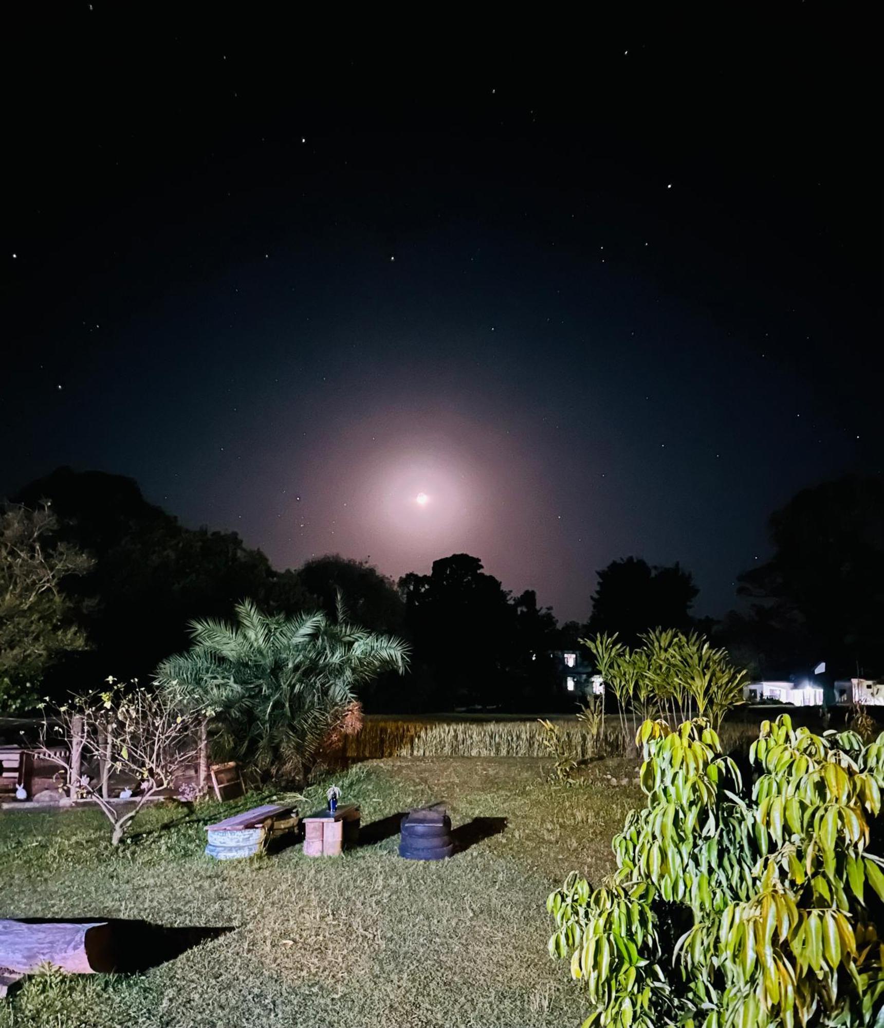 Dreamwoods A Travellers Farm Hostel Dharamshala Ngoại thất bức ảnh