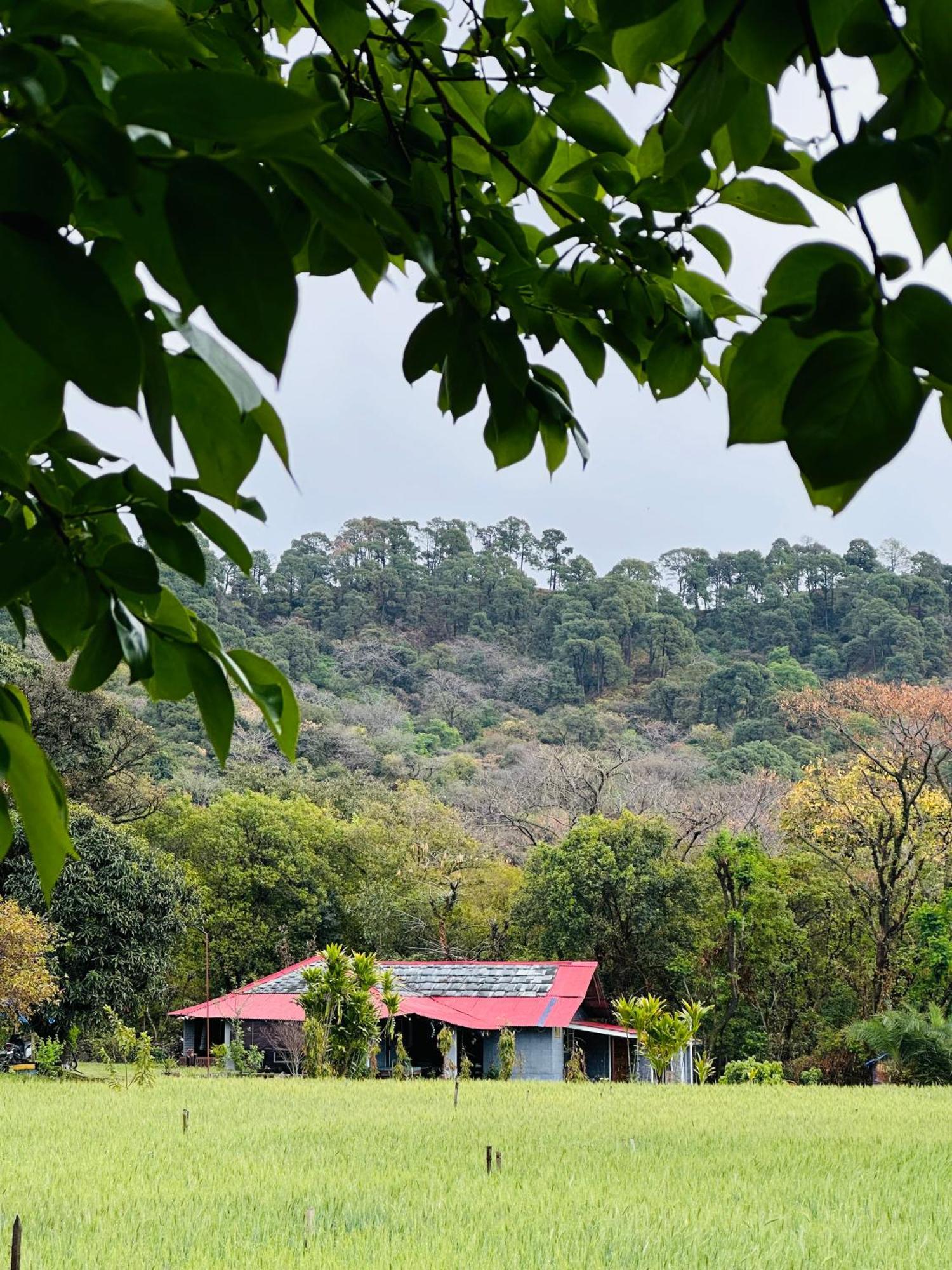 Dreamwoods A Travellers Farm Hostel Dharamshala Ngoại thất bức ảnh