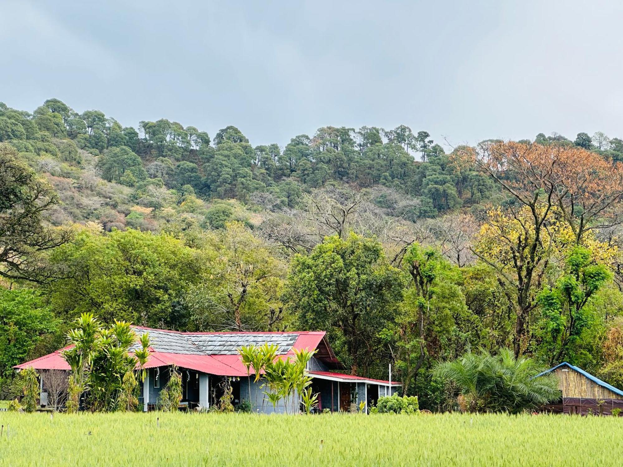 Dreamwoods A Travellers Farm Hostel Dharamshala Ngoại thất bức ảnh