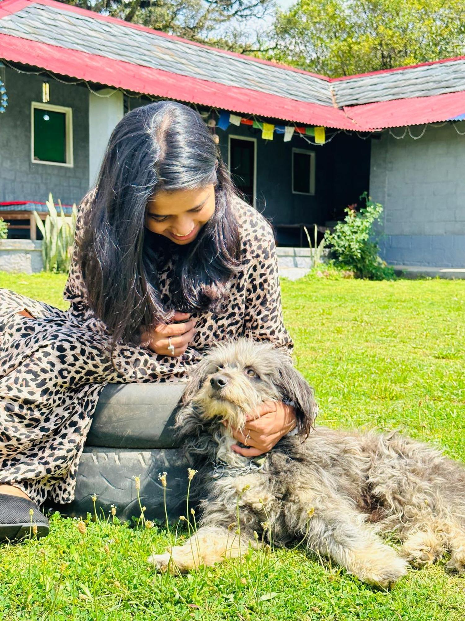 Dreamwoods A Travellers Farm Hostel Dharamshala Ngoại thất bức ảnh